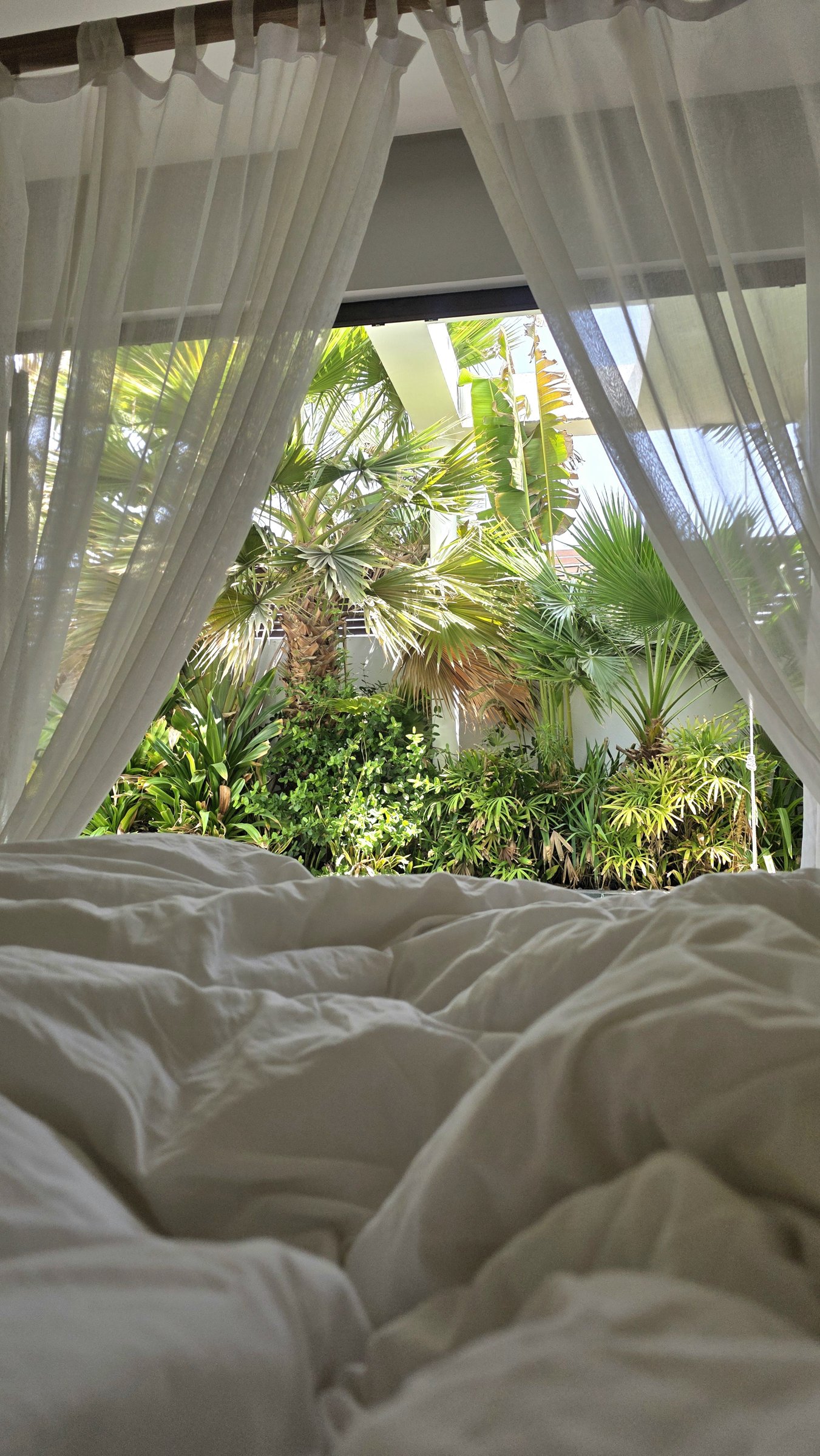 View of the pool and garden through the canopy bed curtains